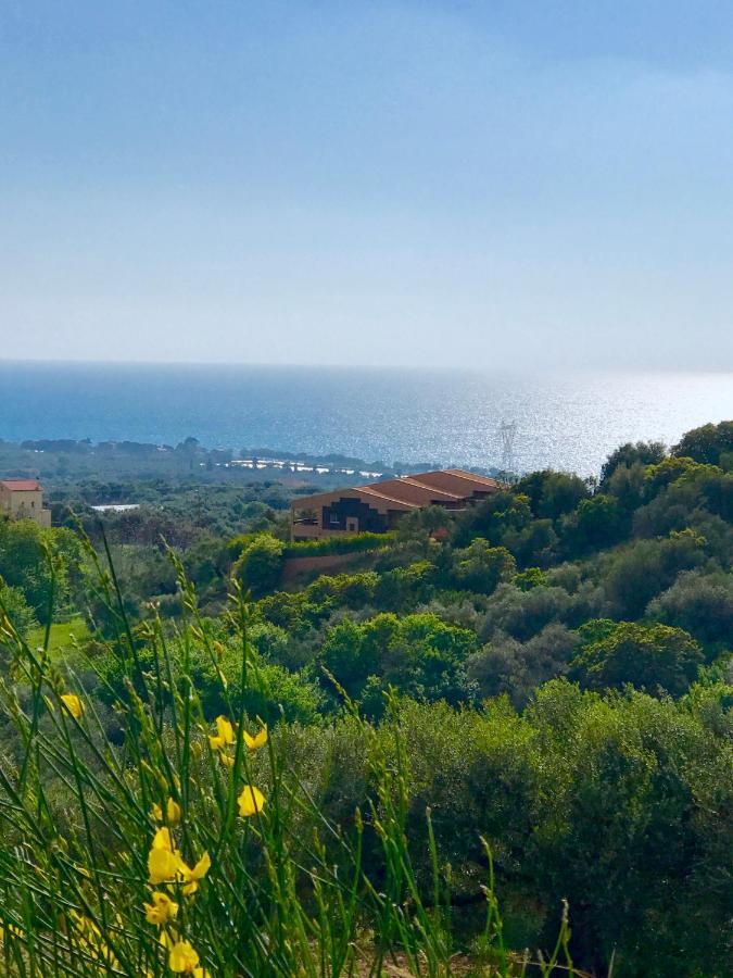 אנו קאלון נרון Villa Verde מראה חיצוני תמונה